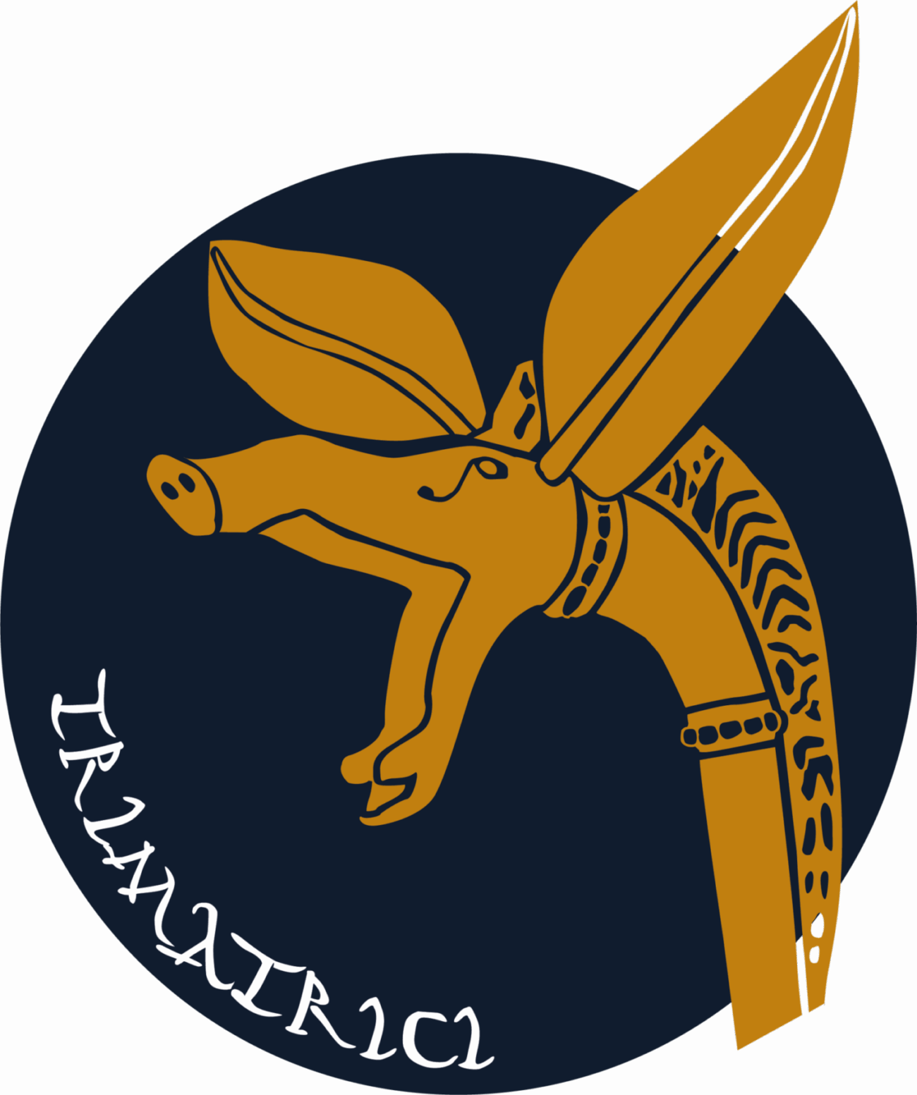 logo trimatrici final